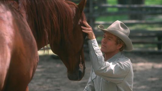 Foto de El señor de los caballos