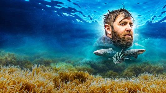 Foto de Shark Week 30 Años