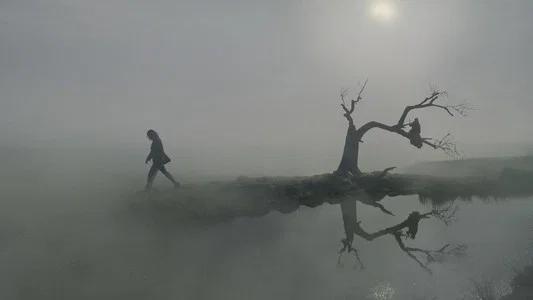 Foto de “Cumbres Borrascosas”