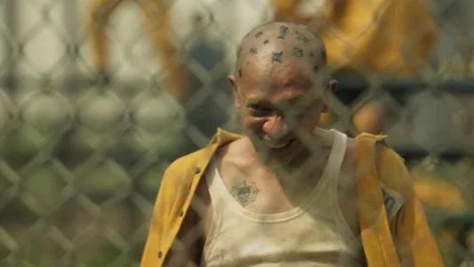 Foto de Ghost in the Cell