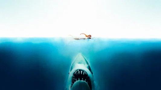 Foto de Tiburón