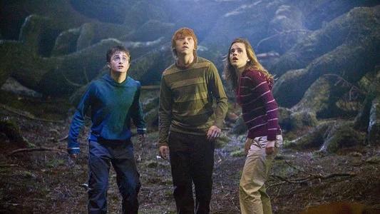 Foto de Harry Potter y la orden del Fénix