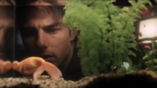 Foto de Jerry Maguire, seducción y desafío