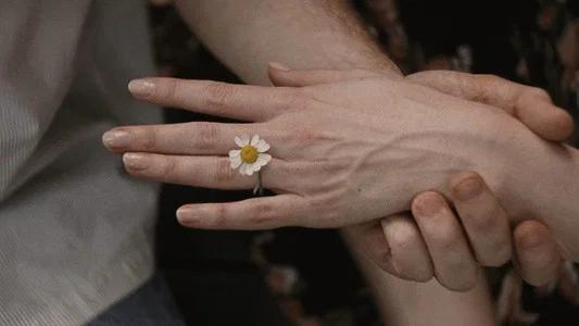 Foto de Amores materialistas
