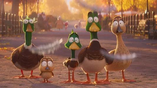 Foto de ¡Patos!