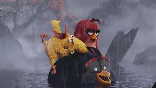 Foto de Angry Birds: La Película