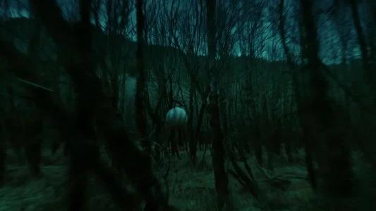 Foto de Crepúsculo