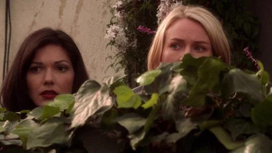 Foto de Mulholland Drive: Sueños, misterios y secretos