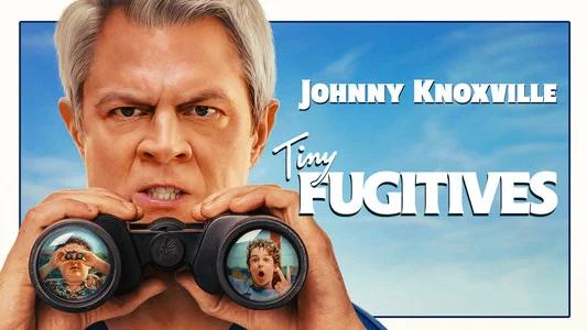 Foto de Tiny Fugitives