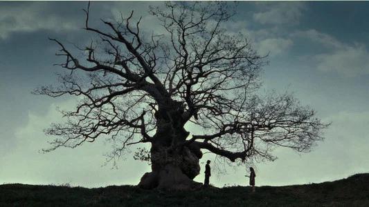 Foto de Harry Potter y las reliquias de la muerte: Parte 2