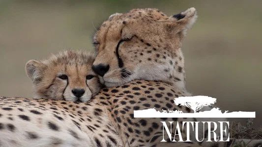 Foto de Nature
