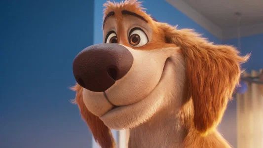 Foto de Charlie the Wonderdog