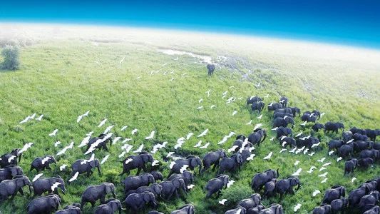 Foto de Planeta Tierra
