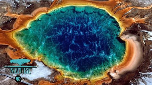 Foto de Nature