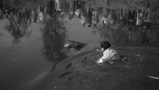 Foto de Ciudad de muertos