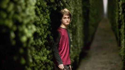 Foto de Harry Potter y el cáliz de fuego