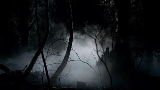 Foto de Diarios de Vampiros