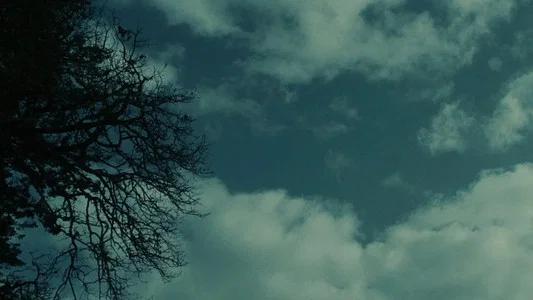 Foto de Crepúsculo