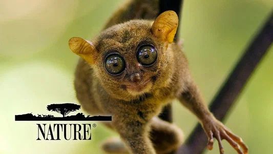 Foto de Nature