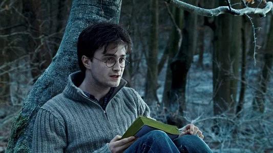 Foto de Harry Potter y las reliquias de la muerte (1ª parte)