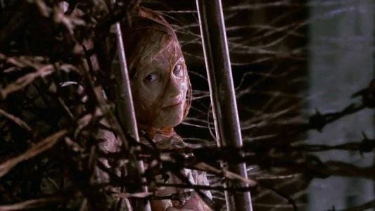 Foto de Terror en Silent Hill