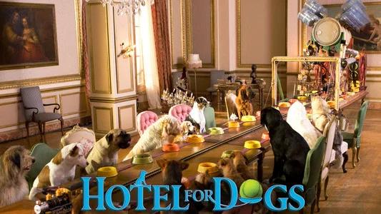 Foto de Hotel para Perros