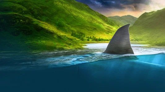 Foto de Shark Week 30 Años