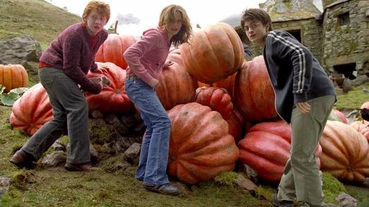 Foto de Harry Potter y el prisionero de Azkaban