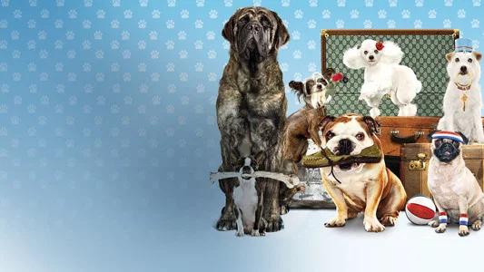 Foto de Hotel para Perros