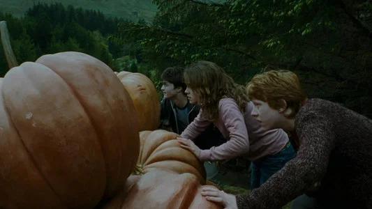 Foto de Harry Potter y el prisionero de Azkaban