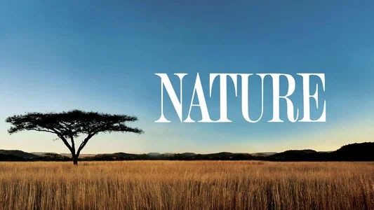 Foto de Nature