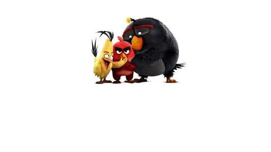 Foto de Angry Birds: La Película