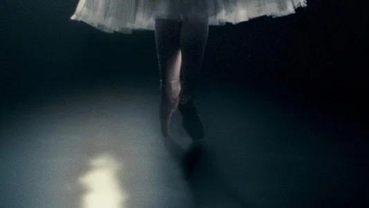 Foto de El cisne negro