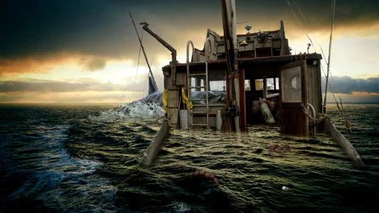 Foto de Tiburón