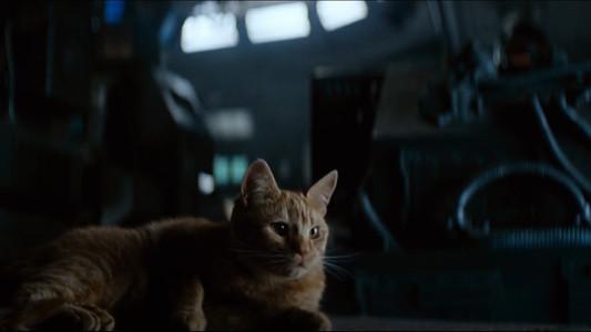 Foto de Alien: El Octavo Pasajero