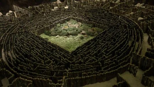 Foto de Maze Runner: Correr o morir