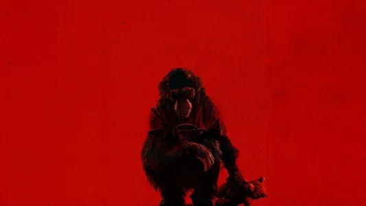 Foto de Primate