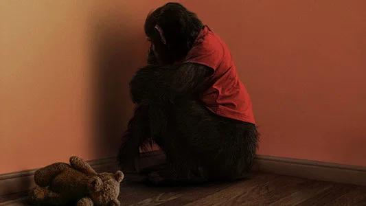 Foto de Primate