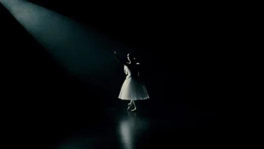 Foto de El cisne negro