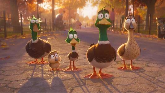 Foto de ¡Patos!