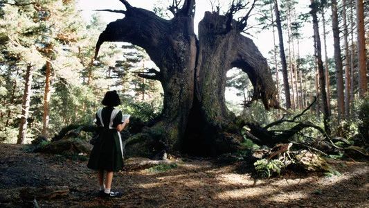 Foto de El laberinto del fauno