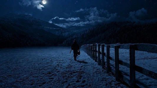 Foto de Resident Evil: Noche cero