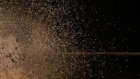 Foto de La guerra de las galaxias