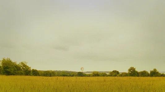 Foto de Moonrise Kingdom: Amor Infantil