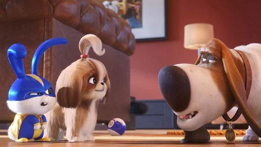 Foto de La Vida Secreta De Tus Mascotas 2