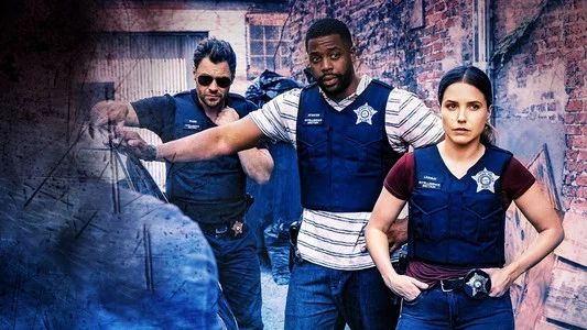 Foto de Policías de Chicago