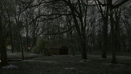 Foto de El brutalista