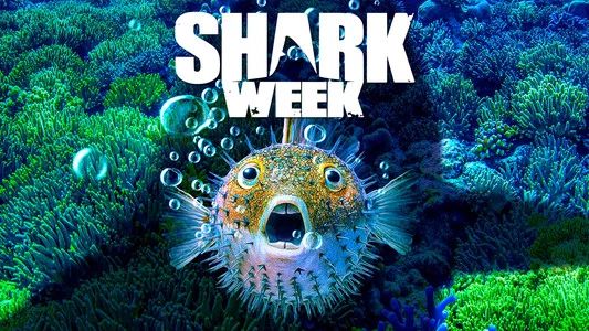 Foto de Shark Week 30 Años