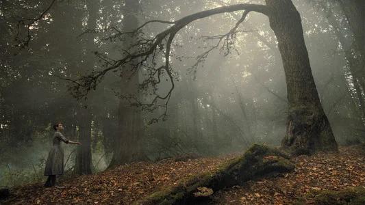 Foto de Gretel & Hansel: Un siniestro cuento de hadas