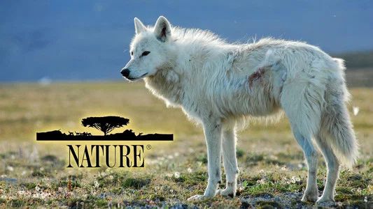 Foto de Nature